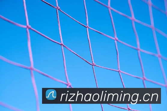 女足比赛今晚几点直播 观赛时间安排及转播平台一文看懂